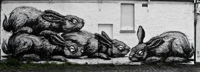  by Roa in Ghent